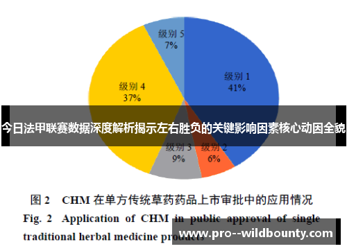 今日法甲联赛数据深度解析揭示左右胜负的关键影响因素核心动因全貌